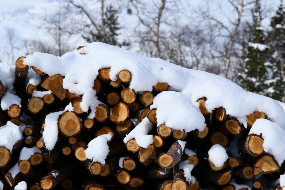 Holzstapel im Winter.  Foto: Pétur Halldórsson.