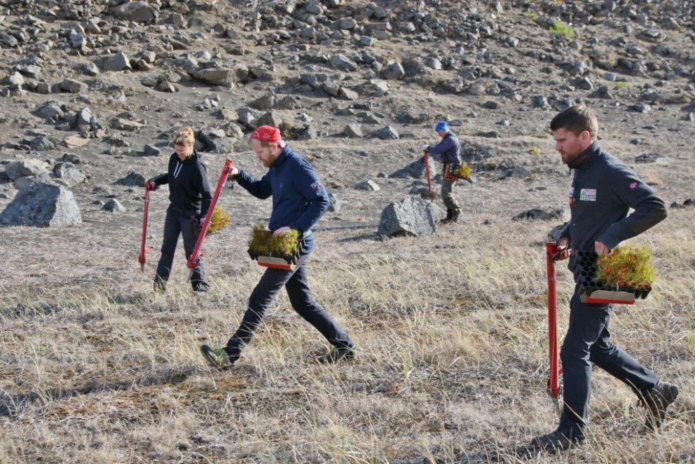 Arbeiten zur Wiederherstellung der Bodenqualität auf aufgeblähtem Land: Foto: Pétur Halldórsson