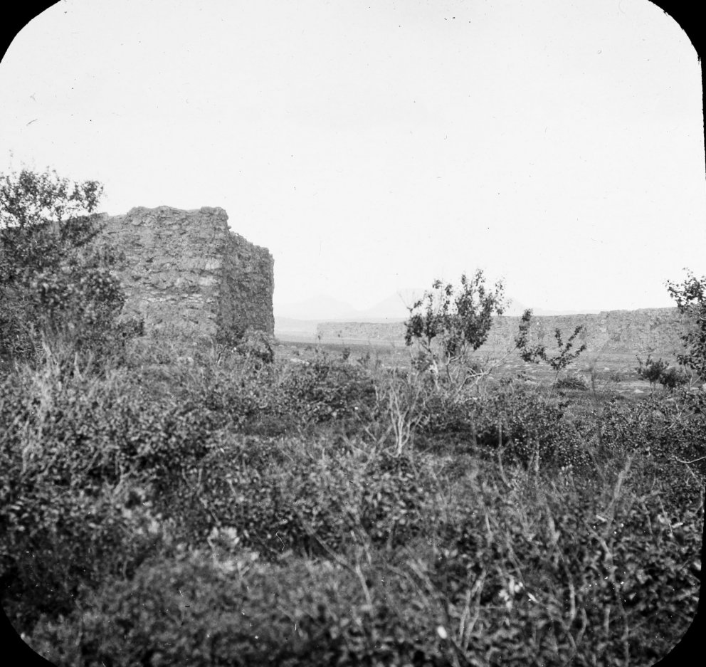 Dieses Foto aus den ersten Jahrzehnten des 20. Jahrhunderts zeigt die zerbrechlichen Überreste des Birkenwaldes in Ásbyrgi als geschütztes…