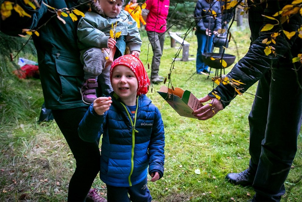 Ein vielversprechender junger Samensammler, fröhlich mit einem Samenantrieb.  Foto: Pétur Halldórsson