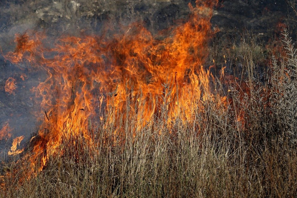 Es ist wichtig, den Schutz vor Waldbränden zu stärken, auch durch gute Aufklärung