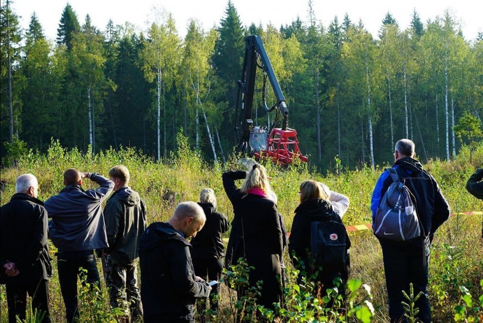 Foto von vef NordGen