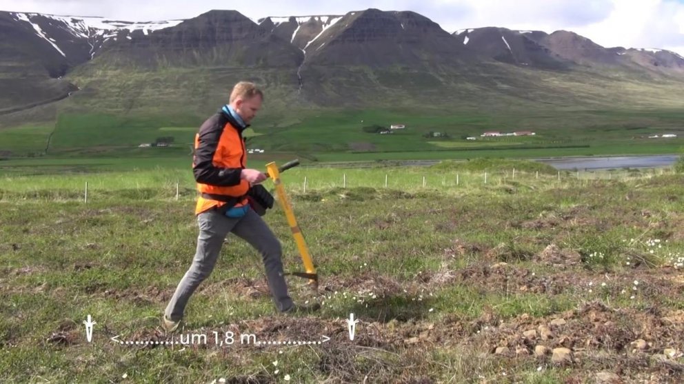 In den Videos geht Förster Bergsveinn Þórsson auf die wichtigsten Punkte ein, die beim Anbau beachtet werden müssen...