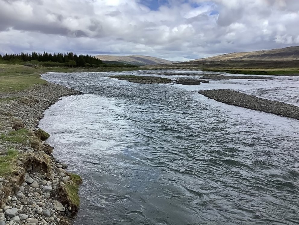 Wo keine Baumvegetation an den Ufern des Flusses ist, ist die Wassererosion viel größer als dort, wo Baumwurzeln die Ufer binden ...