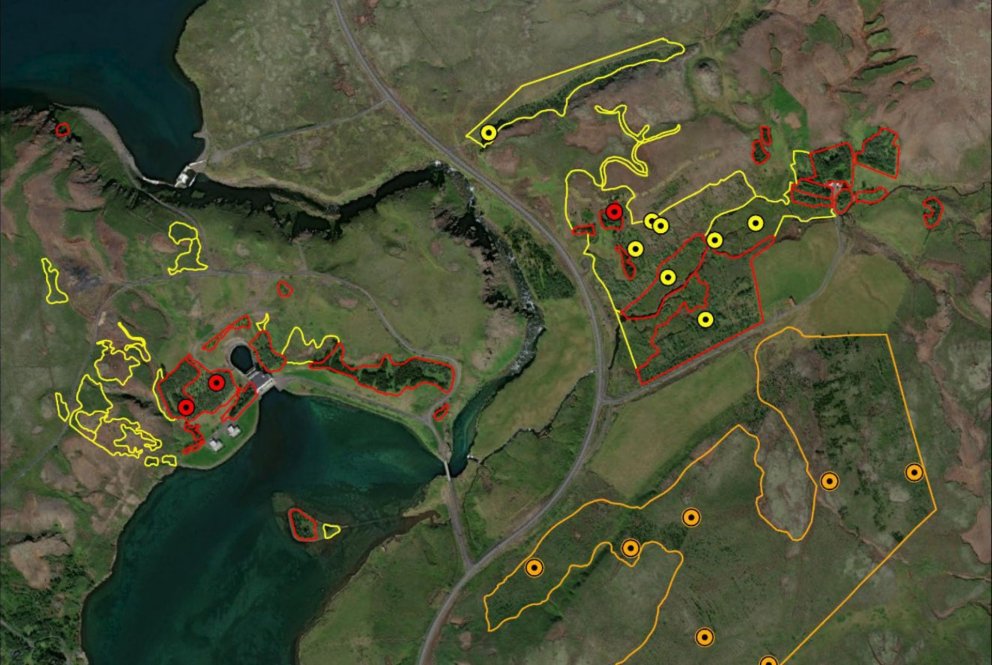 Teil der Kartierung der Wälder von Landsvirkjun bei Sogsstaður, ältere Wälder rot markiert.  Breche ein…